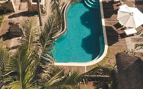 Tentacle Bali